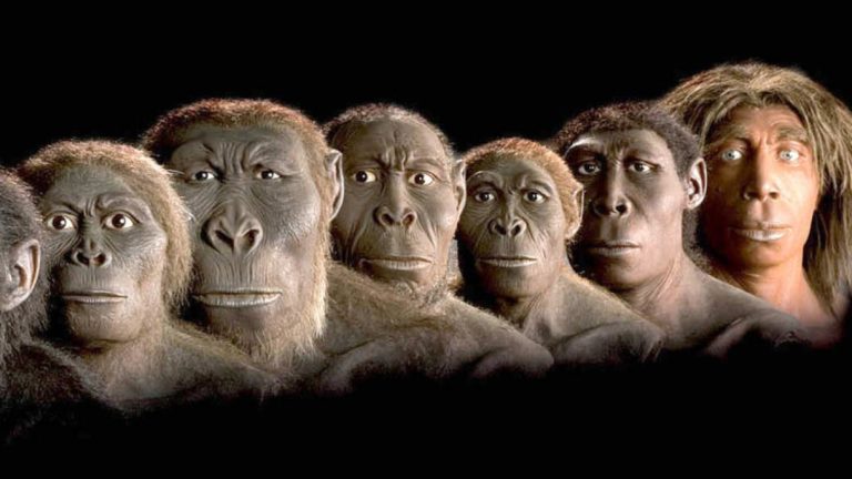 Evrim Teorisine Göre İnsanlığın Gelişimi