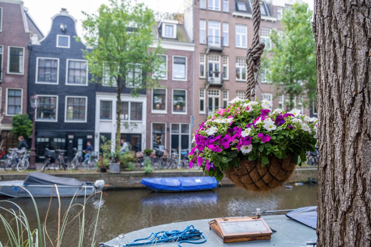 Amsterdam Coffee Shop